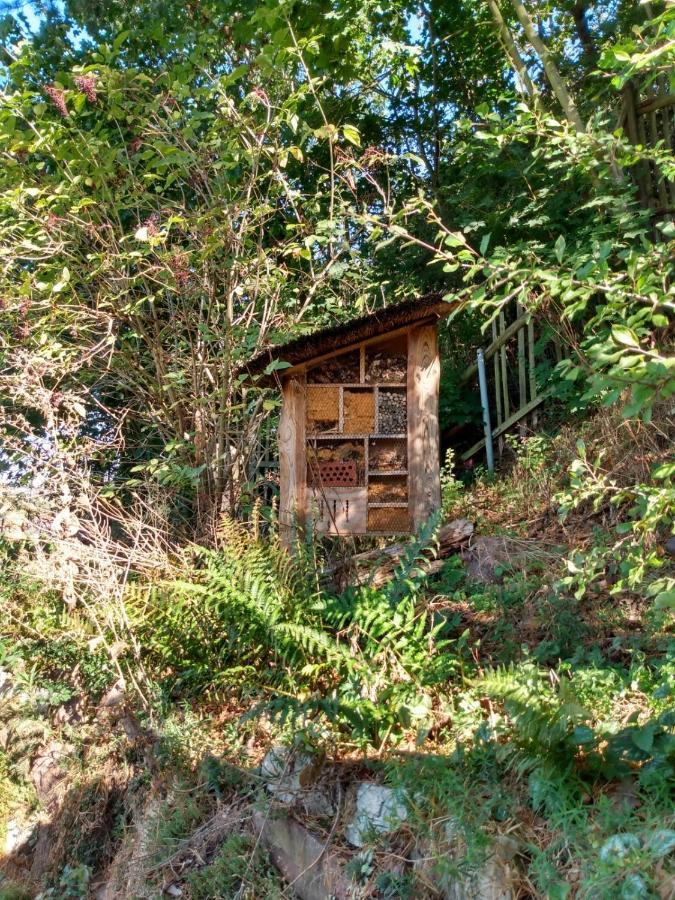 Natuerlich Kirchner Haus Katrin Villa Eisenach Buitenkant foto